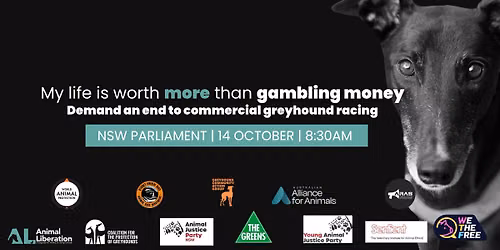 Demand an end to commercial greyhound racing - NSW Parliament Rally