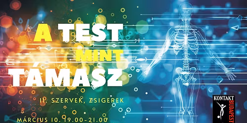 A Test mint T\u00e1masz (The Body as Support) II. - szervek, zsigerek