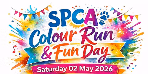 Colour Run and Business Expo