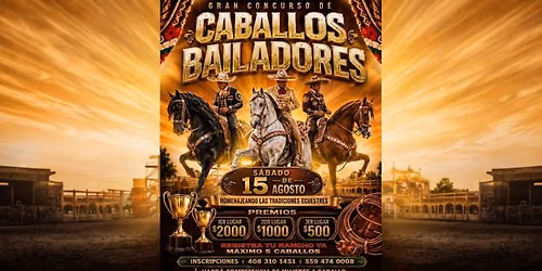 CABALLOS BAILADORES