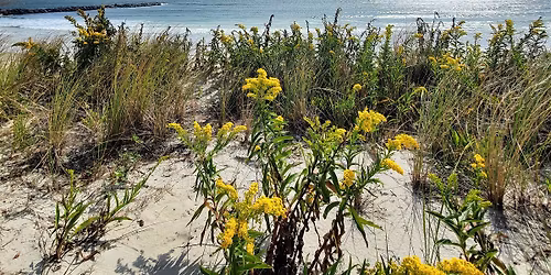 Earth Day Cleanup at Rockaway Beach 108th Street