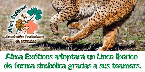 Alma Ex\u00f3ticos Grupo Teaming \/ 1\u20ac que salva vidas