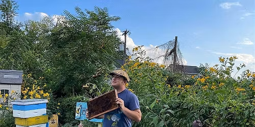 Introduction to Beekeeping in Baltimore