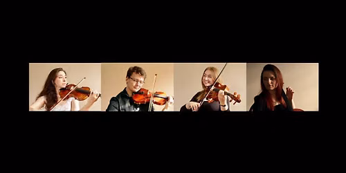 Equinox String Quartet