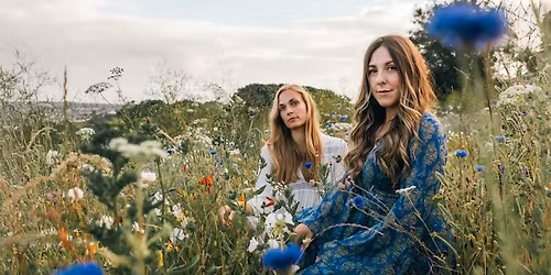 americana @ temperance | True Foxes "Christmas special"