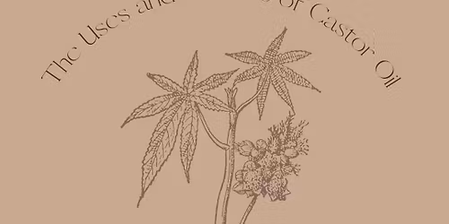 The Uses & Benefits of Castor Oil with Lauren