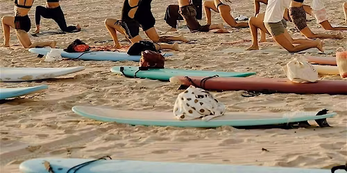 Surf & Sculpt