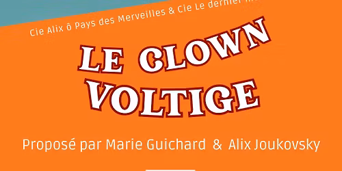 Stage Le clown voltige