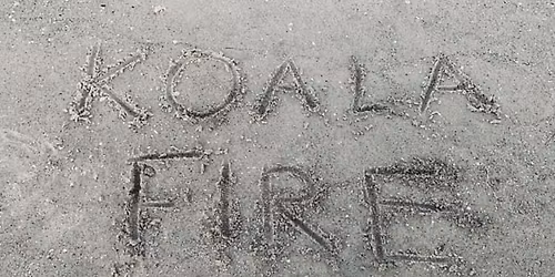 Koala Fire Music Live at Creative Clay Art Market!