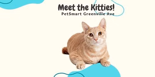 PetSmart Adoption Event - Greenville Ave