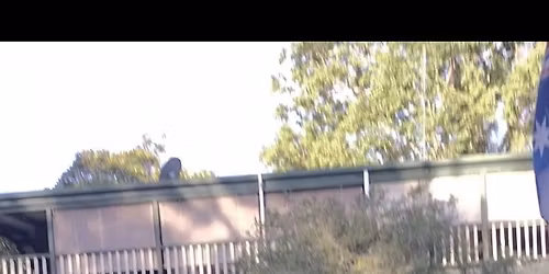 Term 4 Combat Class Tuesday 