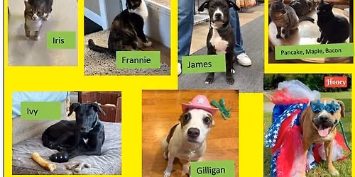 ADOPTION EVENT AT PETSMART