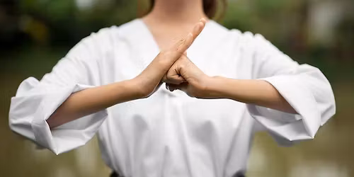 Balance Tai Chi Movements with Joy (30 Minute Class)