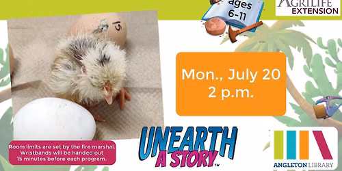 Chicks to Children