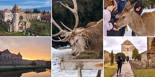 Excursie la Ferma de Cerbi, Cetatea F\u0103g\u0103ra\u0219 \u0219i Aba\u021bia C\u00e2r\u021ba #5
