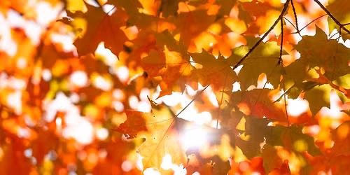 The Turning of the Seasons: A Laudato Si' Series