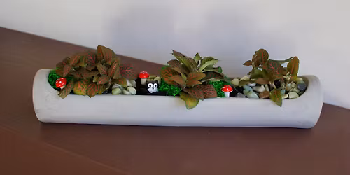 Fittonia Garden Workshop