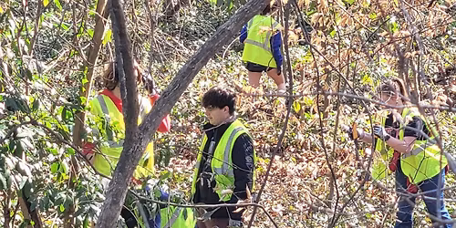 Fallon Park Volunteer Day - Invasive Species Clean Up
