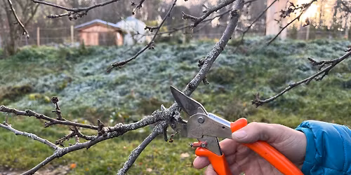 ST\u0158IHNI TO! \u2013 Pecky a trvalky