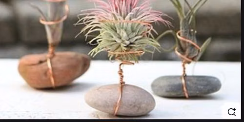 Air Plant Wire Holders with Faith
