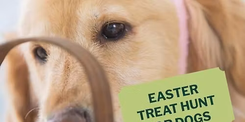 Easter Treat Hunt for Dogs