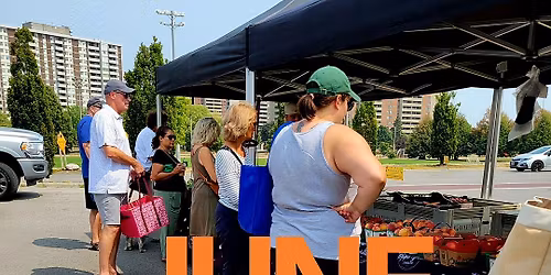 Ajax Markets Opening Day!