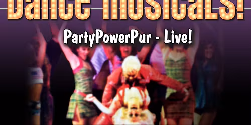 The Mgic Night Of Dance Musicals