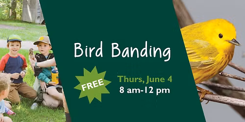 Bird Banding