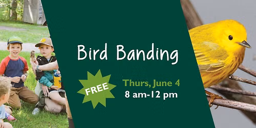 Bird Banding