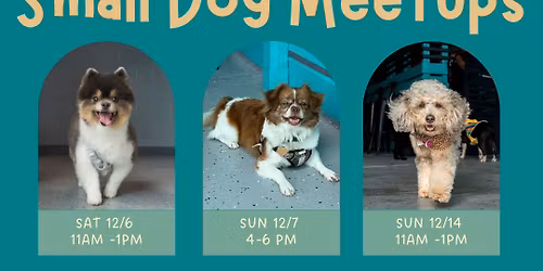 Small Dog Meetup