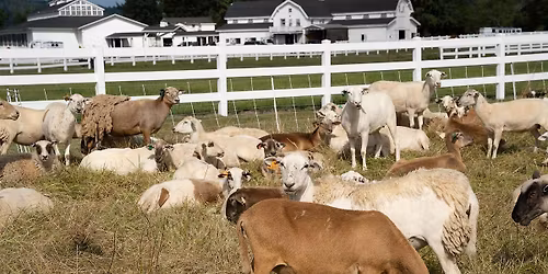 Rotational Grazing Workshop to Build Skills for Farmers