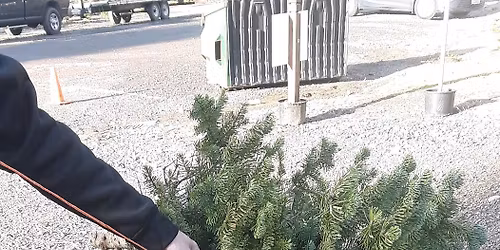 Olmsted Tree Farms\u2019 57th Season