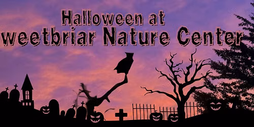 Creatures of the Night: Lantern Walk and Wildlife