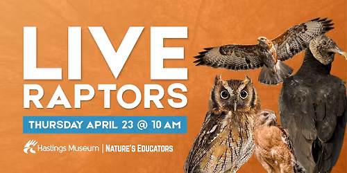 Live Raptors with Nature's Educators