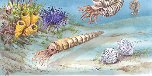 Fossil Day