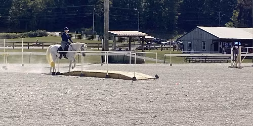2026 Working Equitation School shows in Southwest Virginia