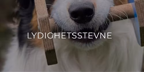 Lydighetsstevne i klasse 1 og 2