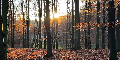 Slagelse Lystskov - 4,7 km i roligt tempo