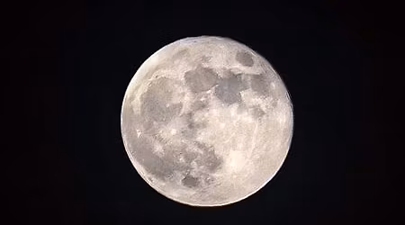 Forest Bathing with the Full Moon