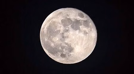 Forest Bathing with the Full Moon