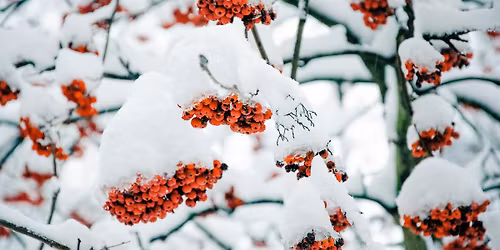 Zimski san \/ Winter Dream, plesna radionica \/ dance workshop