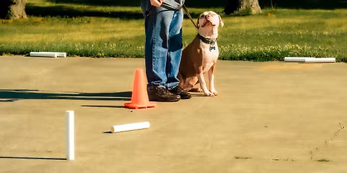 Mastering the Focused Heel (Basic group class) 7 weeks
