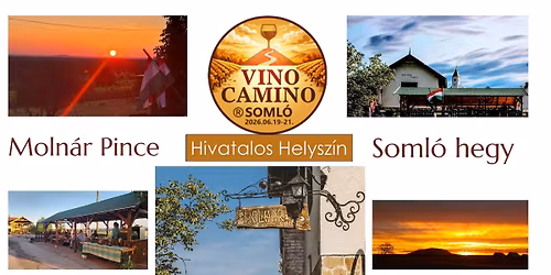 VINO CAMINO SOML\u00d3 2026 - A MOLN\u00c1R PINCE TERASZ\u00c1N