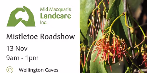 Mistletoe Roadshow