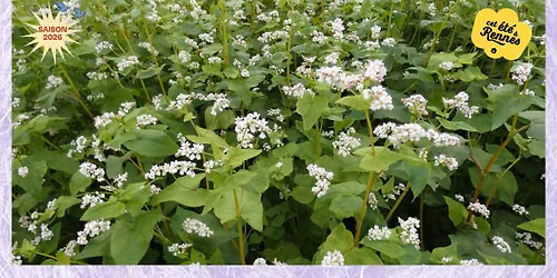 A la d\u00e9couverte des plantes de la Pr\u00e9valaye | Balade d\u00e9gustation | La Basse Cour