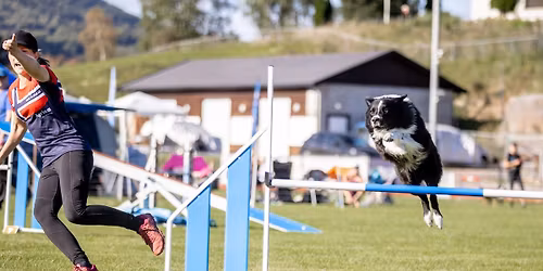 AG kurs m\/Isabelle Simonsen 2.-3. mai