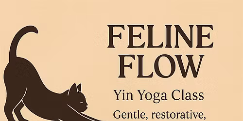 Feline Flow: Yin-Inspired Community Yoga Class