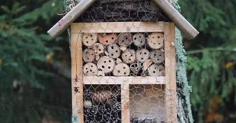 Family Bug Hotel Building