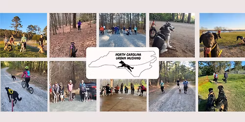 3rd Saturday Monthly Canicross\/Bikejor meetup (beginner friendly)
