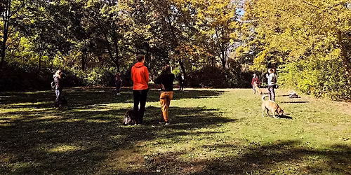 B\u00e9k\u00e9s s\u00e9ta csoportos egy\u00fcttm\u0171k\u00f6d\u00e9si k\u00e9pz\u00e9s\ud83d\udc3e